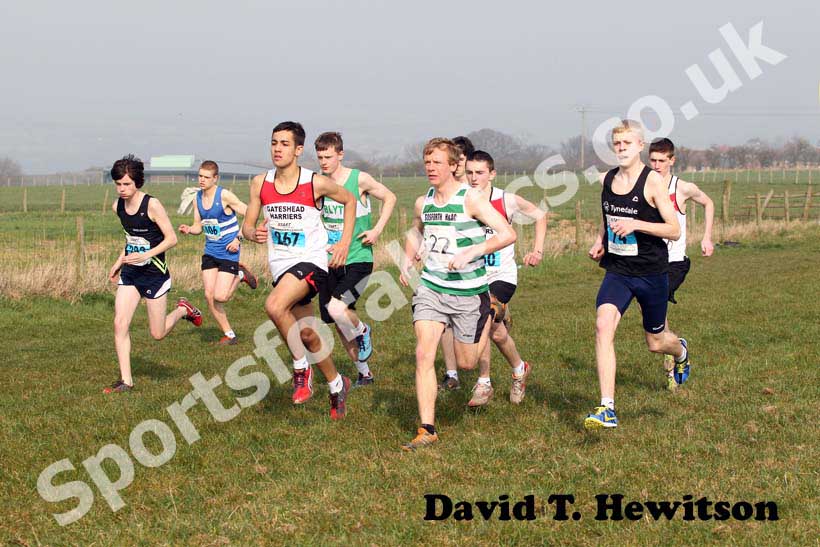 Blue  start North East Harrier League, Prudhoe, Northumberland.